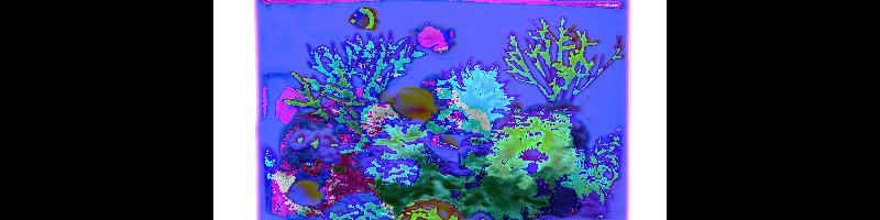 aquarium_15769583.prt.bmp